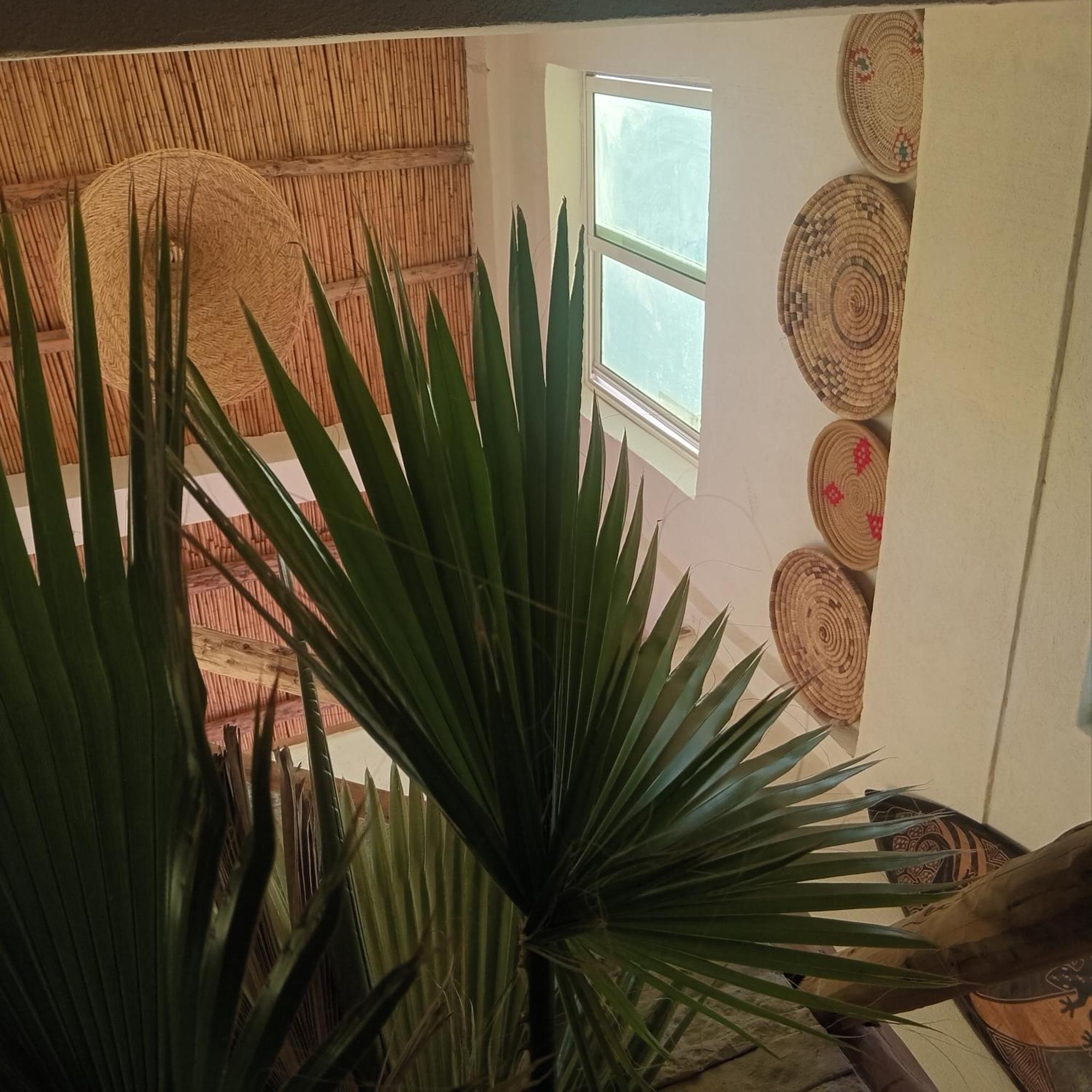 Moroccan Boho Surf House Agadir Exterior foto